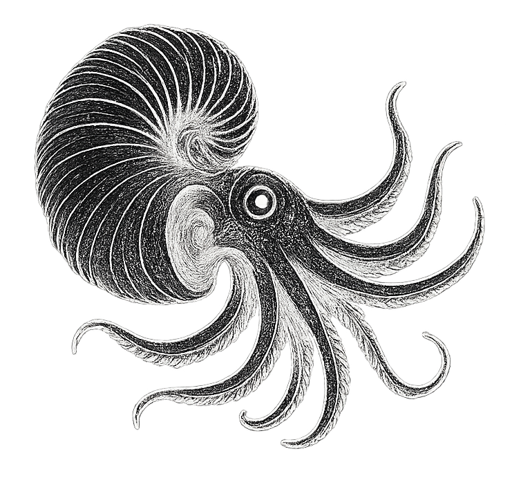 Argonaut Studios Logo